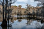Caddo Lake State Park Fishing Observation Pier