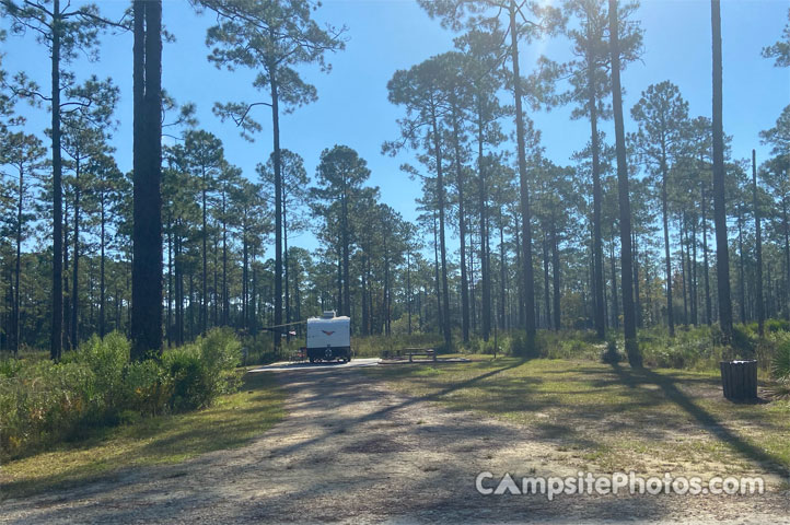 Cary State Forest 002