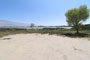Diaz Lake Argus 067