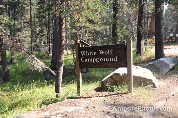 White Wolf Sign