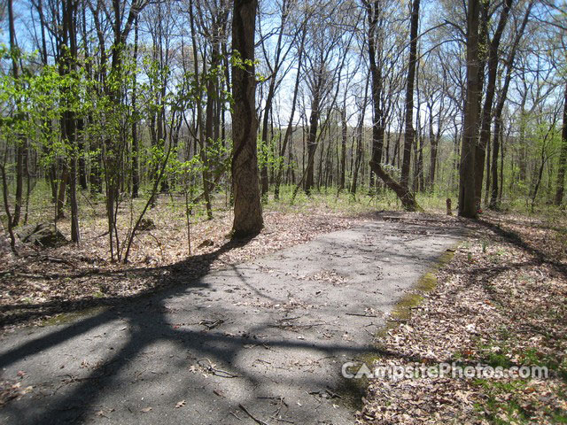 French Creek State Park A037