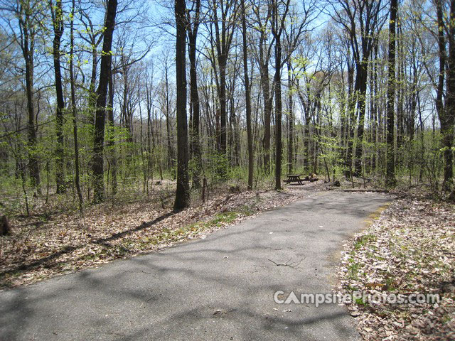 French Creek State Park A041