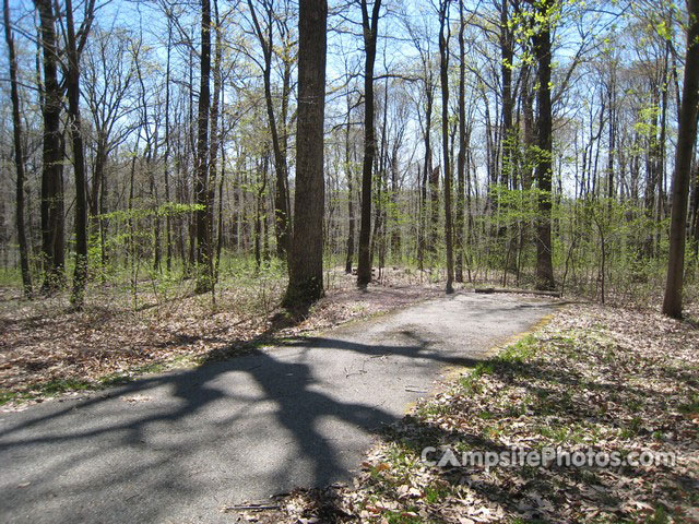 French Creek State Park A042