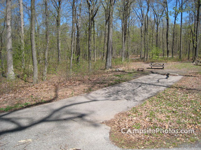 French Creek State Park B017