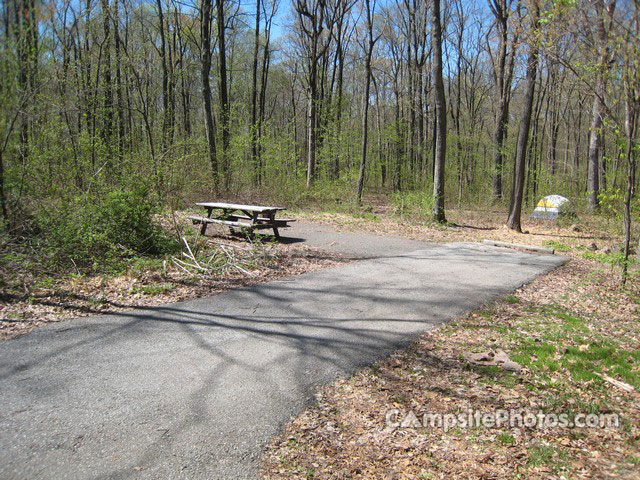 French Creek State Park B028