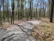 French Creek State Park A034