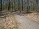 French Creek State Park A049