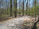 French Creek State Park A050
