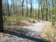 French Creek State Park B033