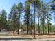 Riverside State Park Equestrian Camp View