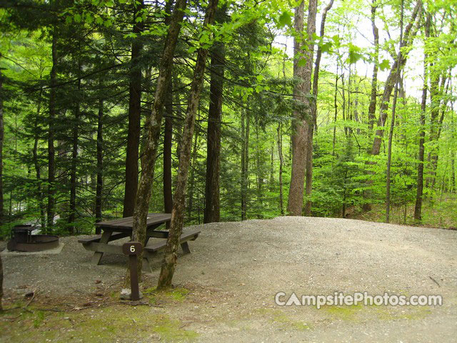 Mohawk Trail State Forest 006
