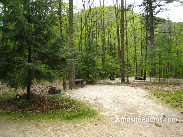 Mohawk Trail State Forest 011