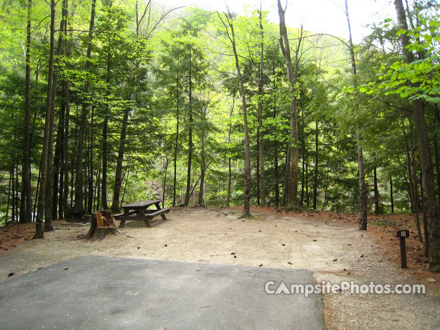 Mohawk Trail State Forest 016