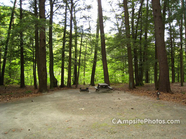 Mohawk Trail State Forest 025