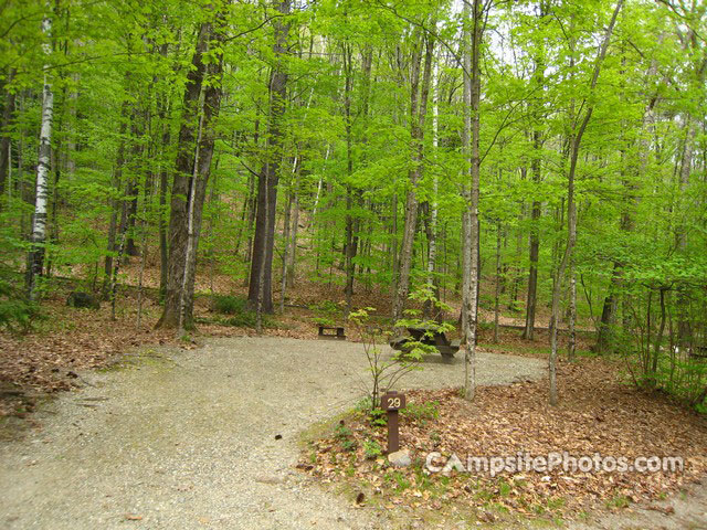 Mohawk Trail State Forest 029