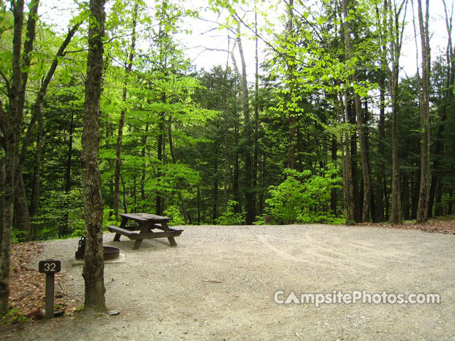 Mohawk Trail State Forest 032