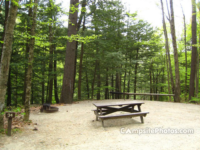 Mohawk Trail State Forest 034