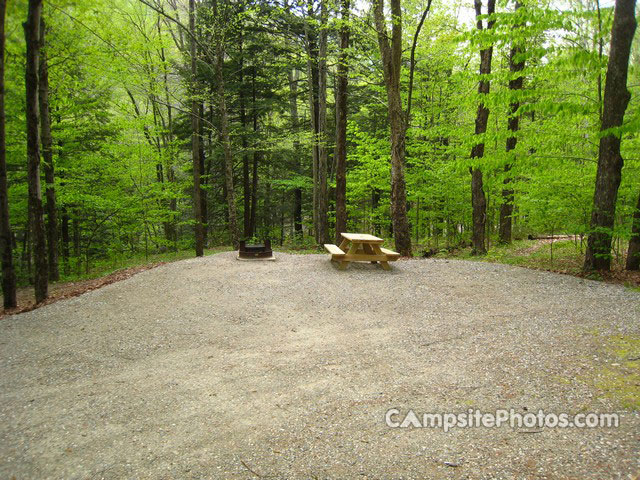 Mohawk Trail State Forest 035