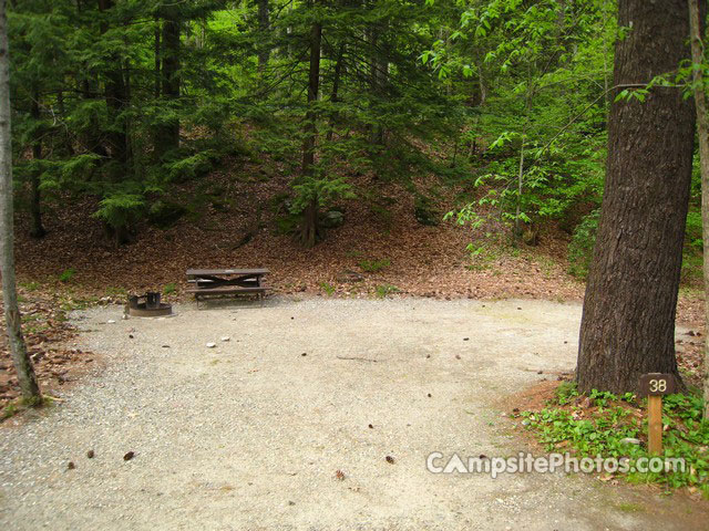 Mohawk Trail State Forest 038