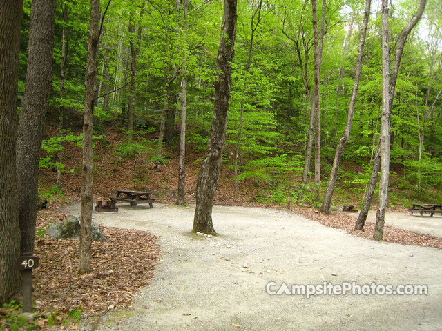 Mohawk Trail State Forest 040