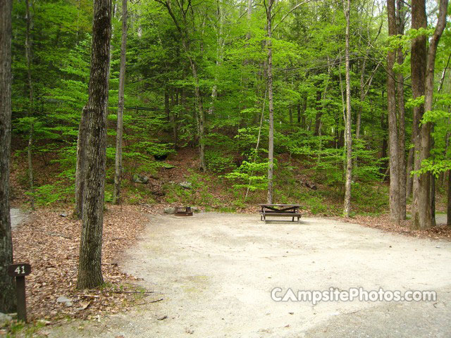 Mohawk Trail State Forest 041