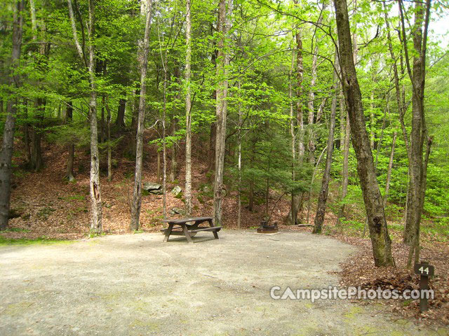 Mohawk Trail State Forest 044