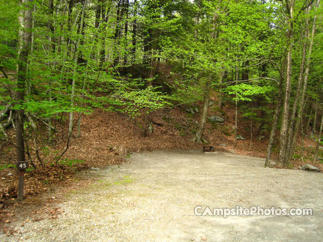 Mohawk Trail State Forest 045