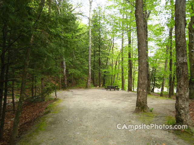 Mohawk Trail State Forest 046