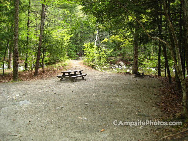 Mohawk Trail State Forest 049