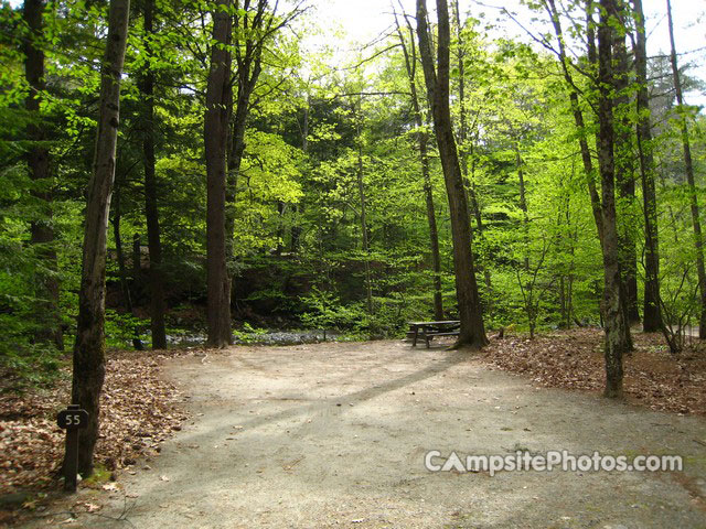 Mohawk Trail State Forest 055