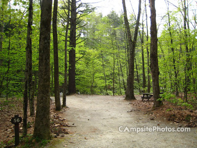 Mohawk Trail State Forest 056