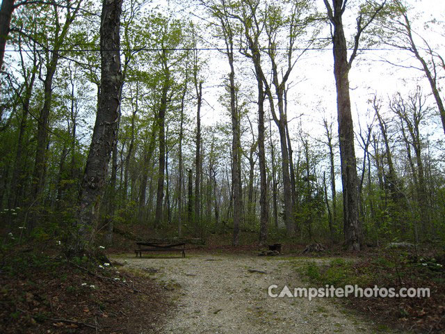 Savoy Mountain State Forest 002