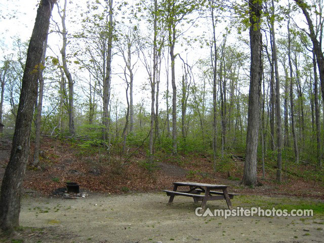 Savoy Mountain State Forest 007