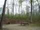 Savoy Mountain State Forest 007