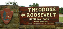 Theodore Roosevelt National Park Cottonwood