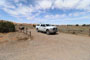 Sand Flats Recreation Area Bobcat 004