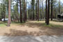 Campground By The Lake E008