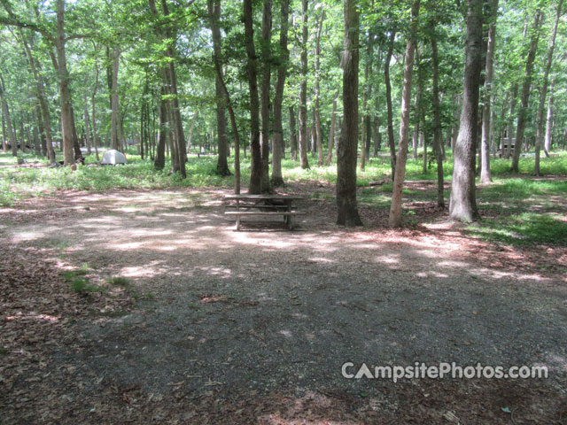 Allaire State Park 036