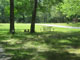 Allaire State Park 005