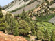 Lundy Canyon View