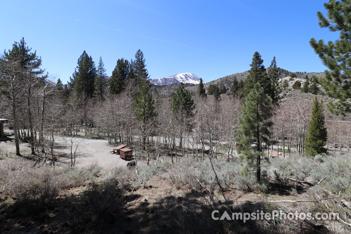 Reversed Creek Campground View