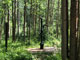 Clear Lake Campground Water Pump