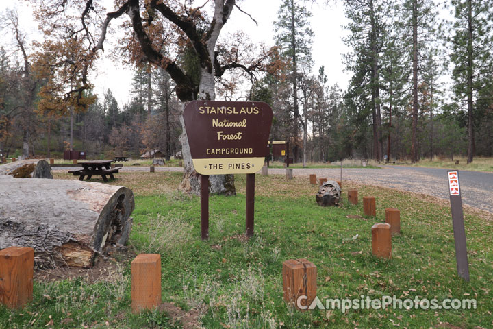 The Pines Campground Sign