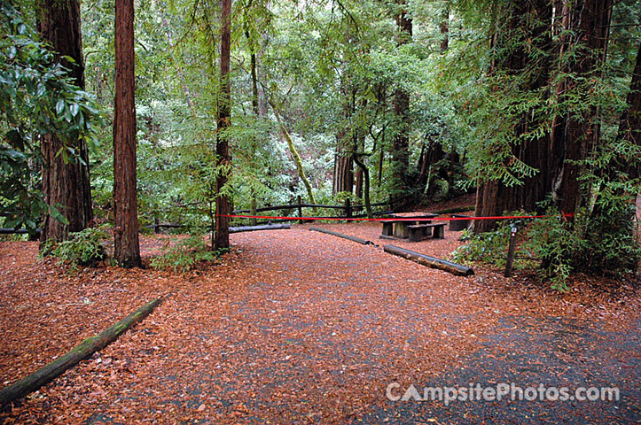 Portola Redwoods SP 002
