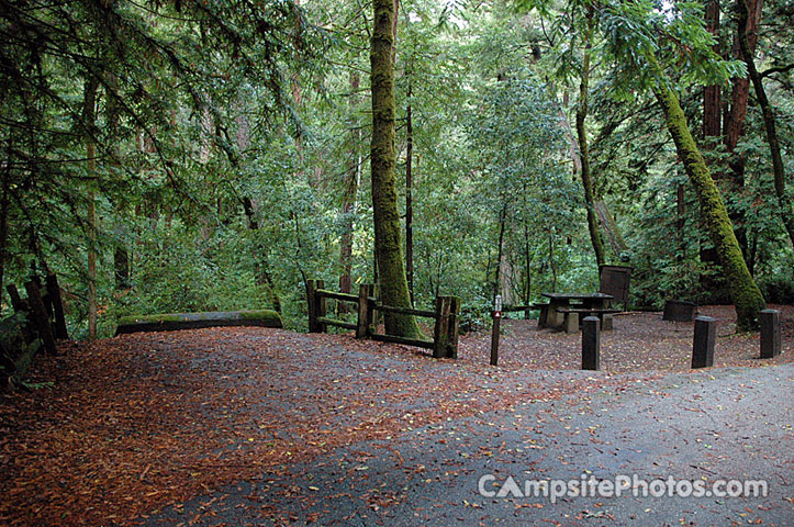 Portola Redwoods SP 015