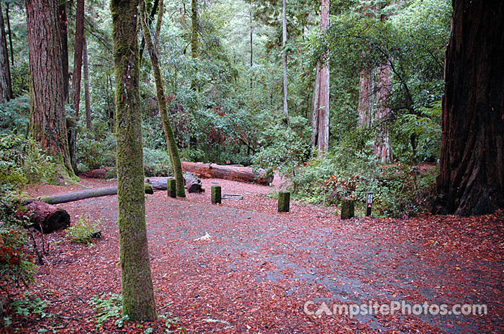 Portola Redwoods SP 023