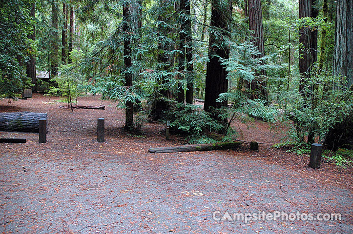 Portola Redwoods SP 026