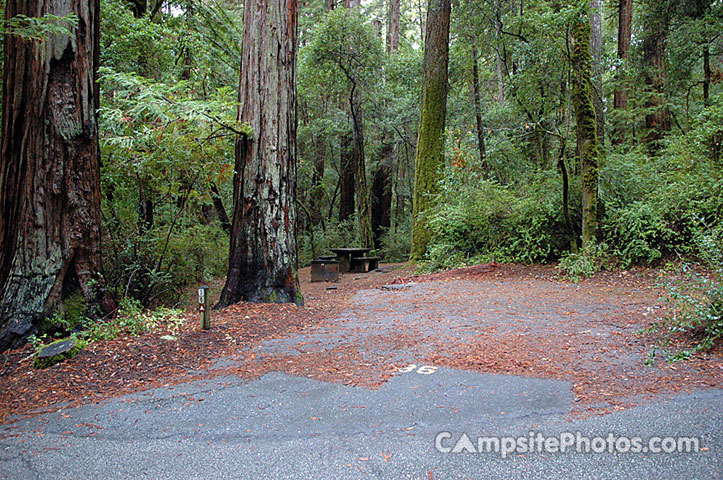 Portola Redwoods SP 036