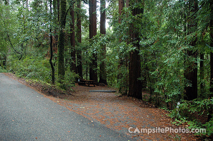 Portola Redwoods SP 051