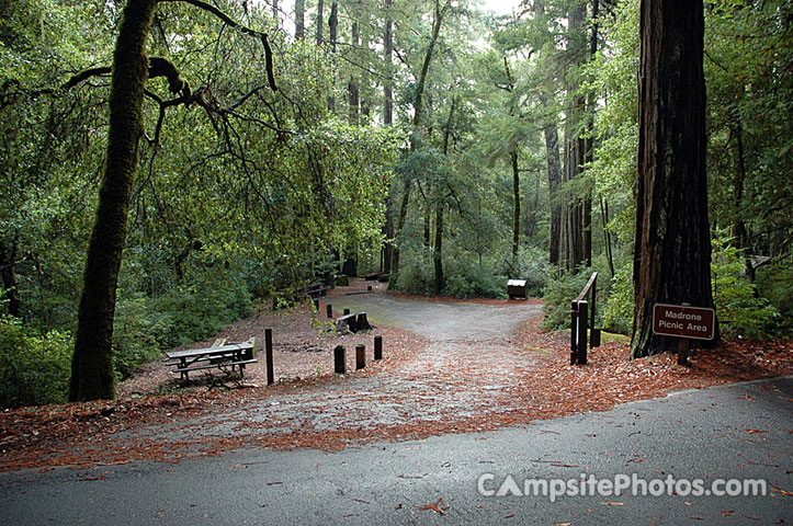 Portola Redwoods SP Picnic Area